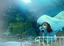 Escape in a Dream by Viola Krupova 